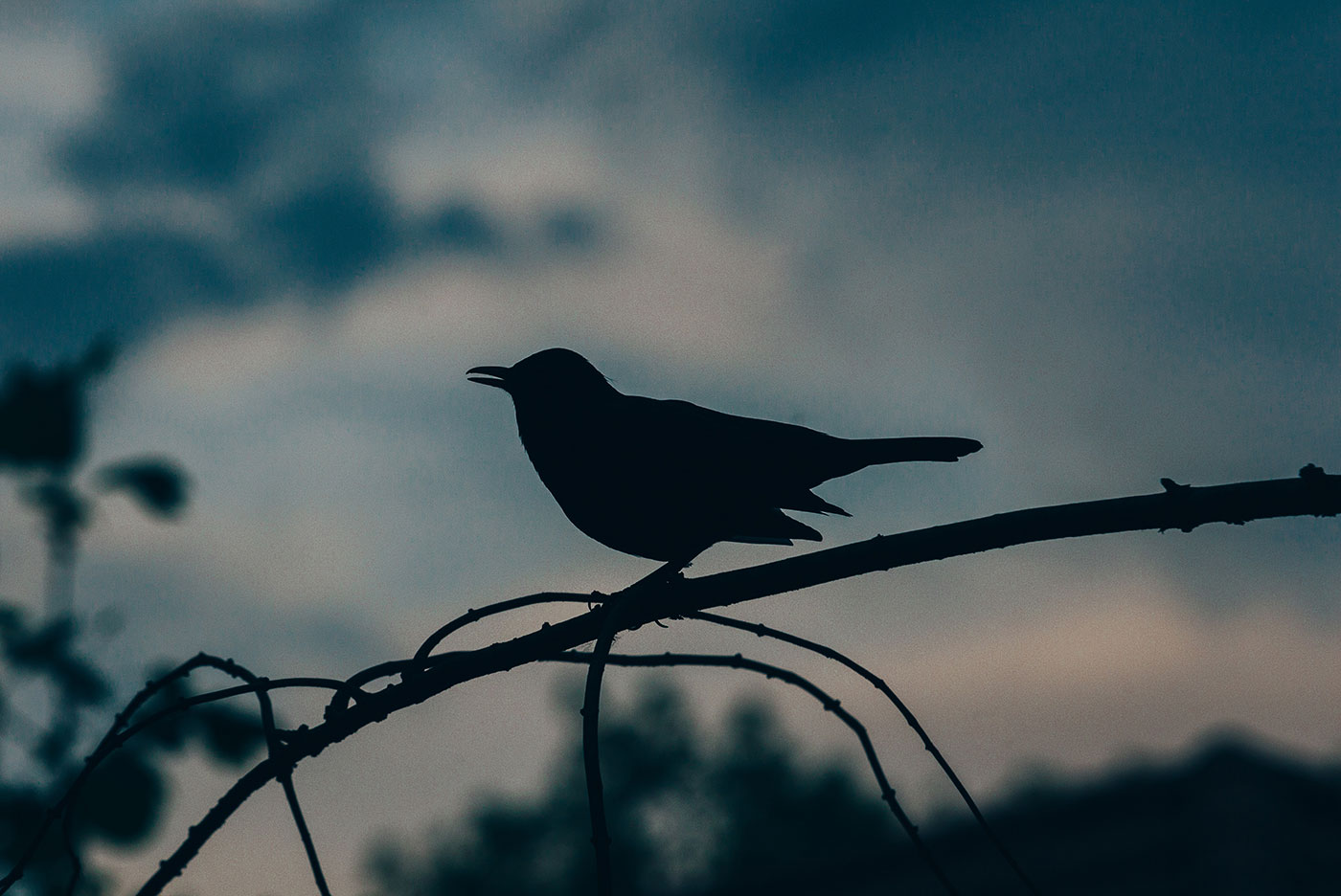 Twitter is testing AJAX updates